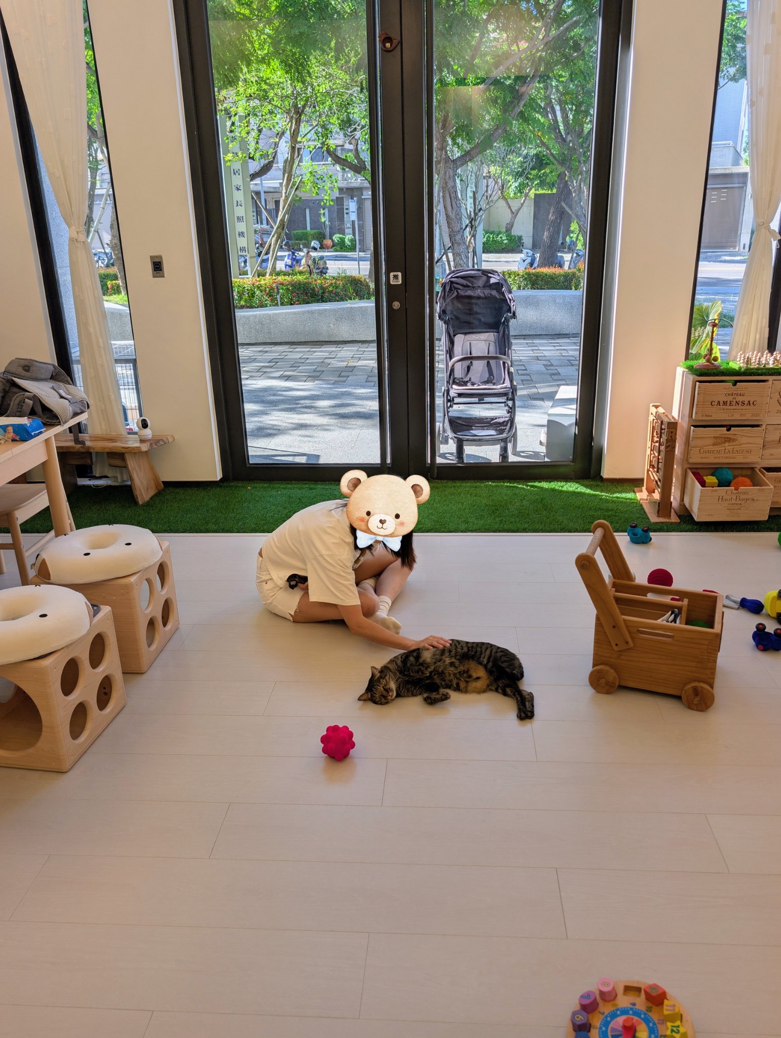 play with me cozy atmosphere beautiful sunlight green outside petting cat lover family quiet moment ginpond