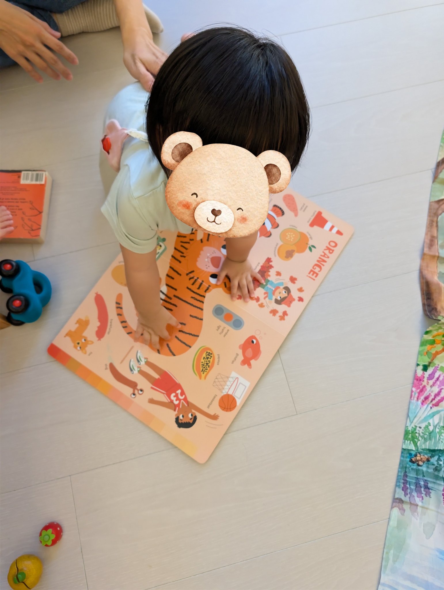 play with me moment first book little reader english picture book animal color sorting vocabulary early learning