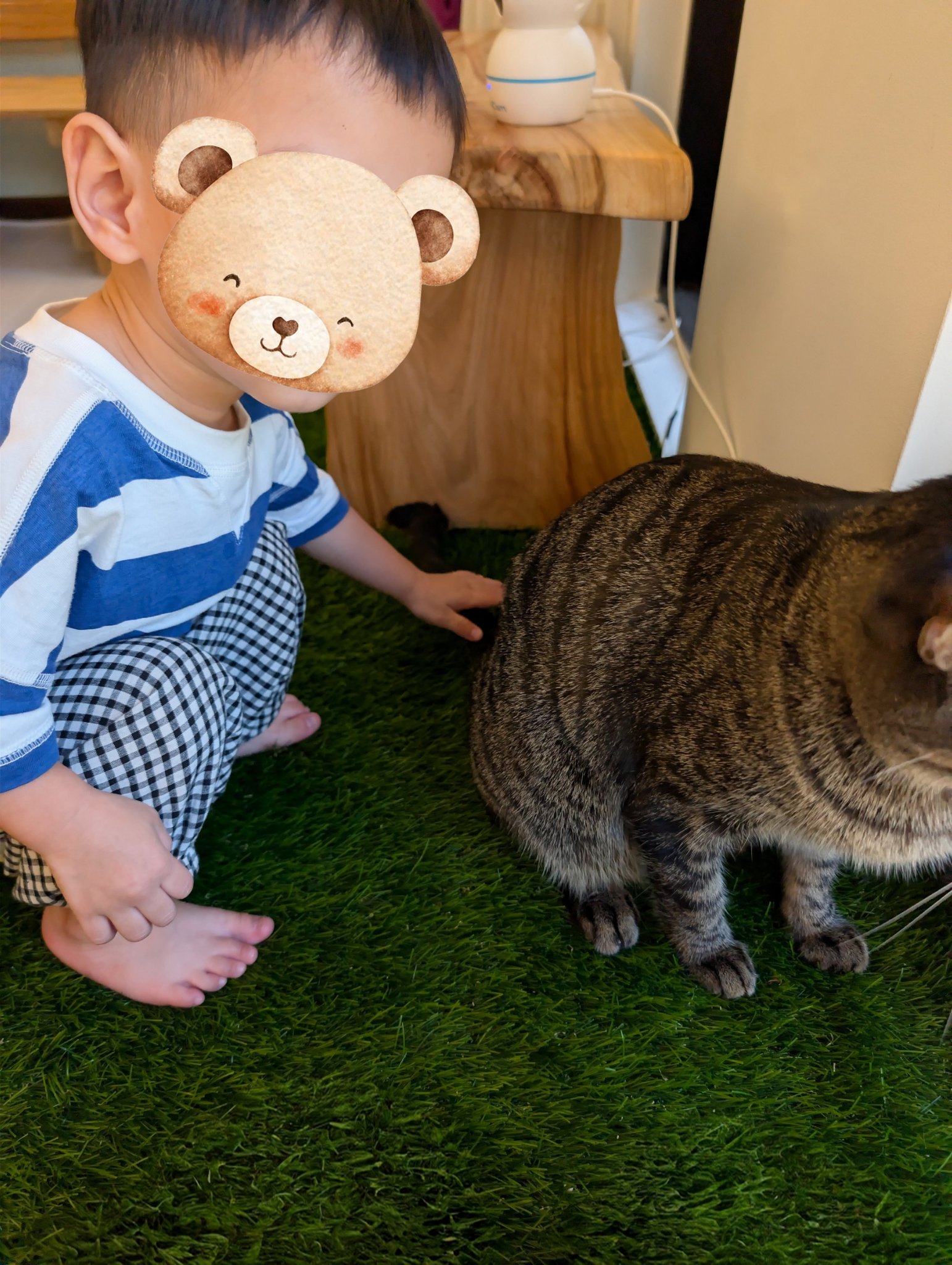 play with me moment gentle hands empathy life learning cat lover toddler ginpond calm space home vibe