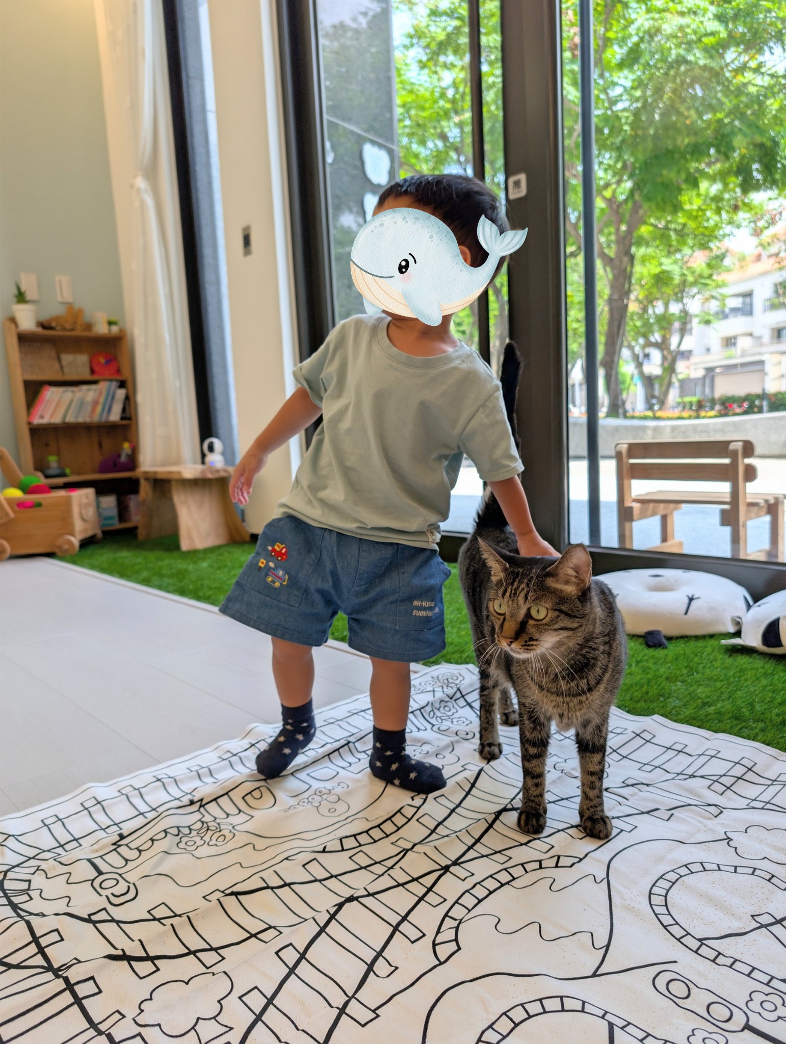 play with me moment petting cat gentle hands life learning little cat lover ginpond toddler natural latex rubbabu
