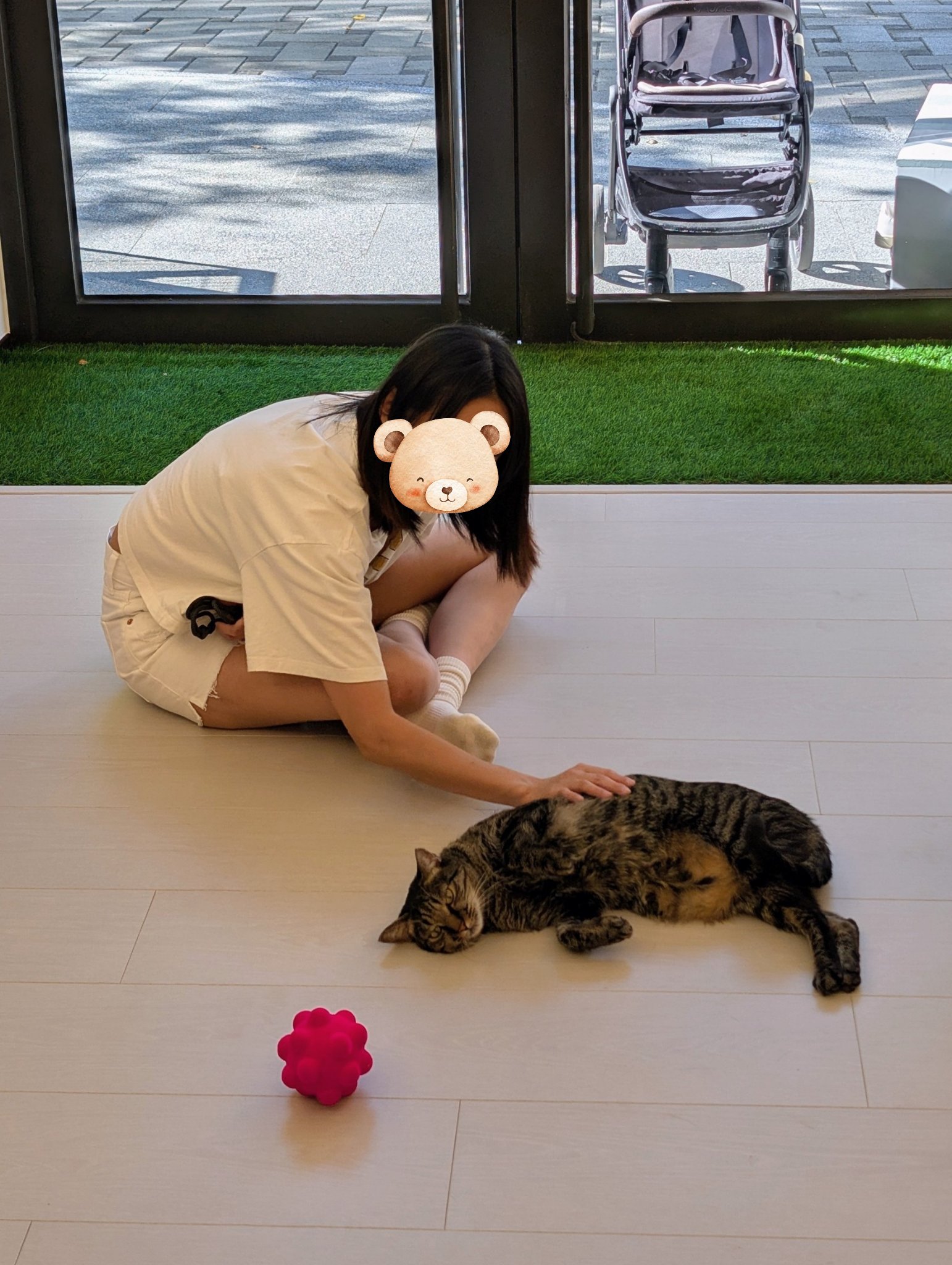 play with me moment quiet moment cat lover gentle hands ginpond rubbabu unhurried calm space dappled light