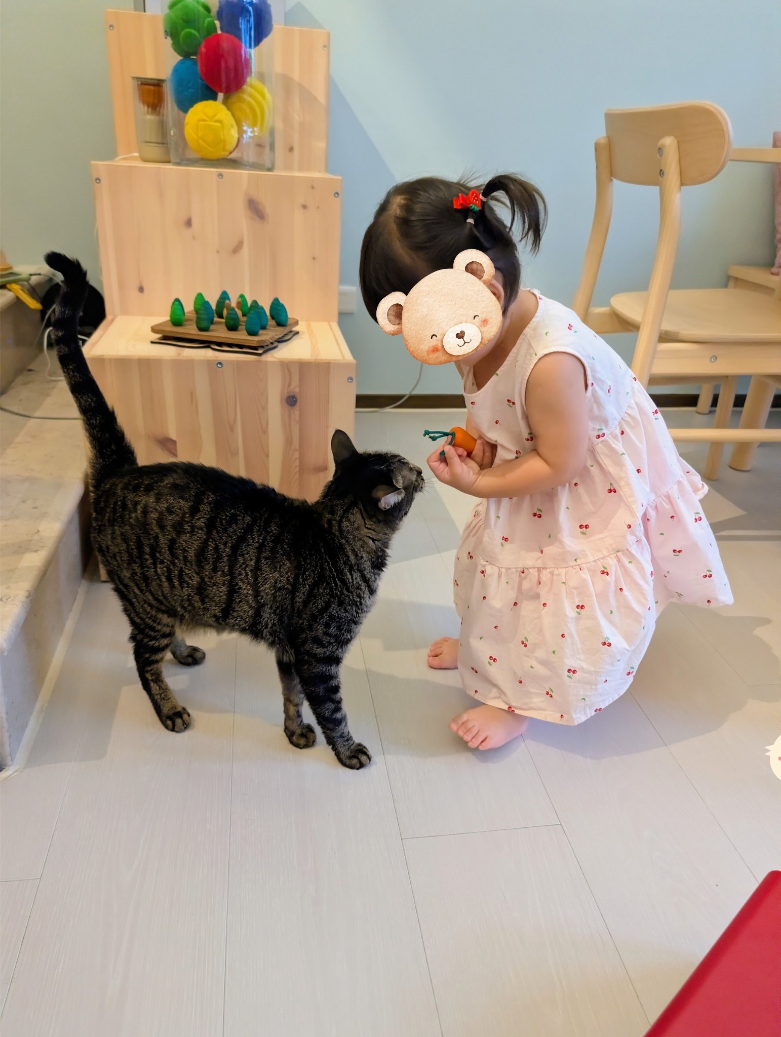 play with me moment sweet greeting gentle hands social emotional learning life learning cat lover toddler ginpond